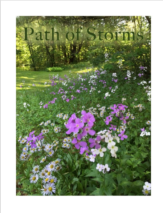 Path of Storms title page